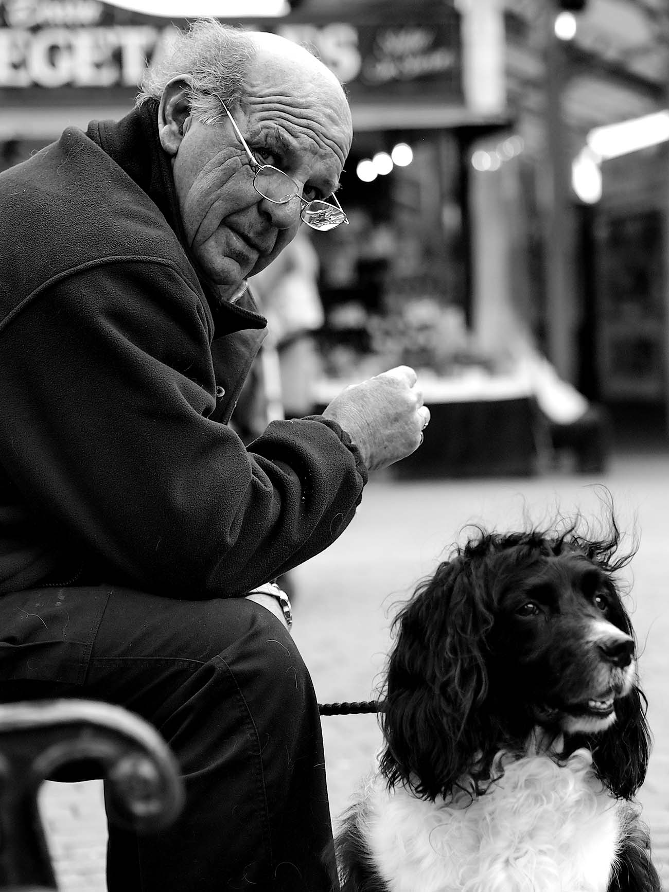 old man with a dog