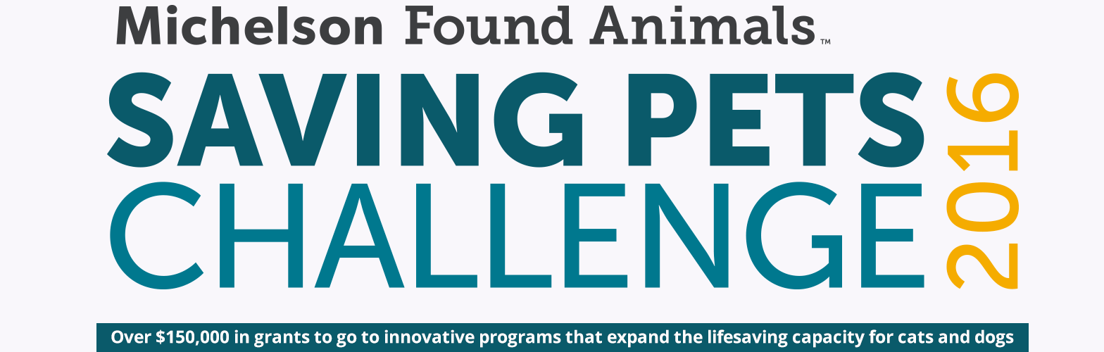 Help Support Found Animals Saving Pets Challenge