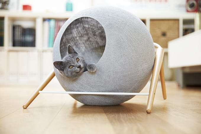 Meyou: Classy Furniture for Classy Cats