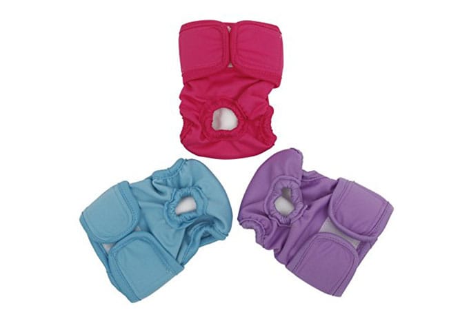 Photo of pet diapers that are available online