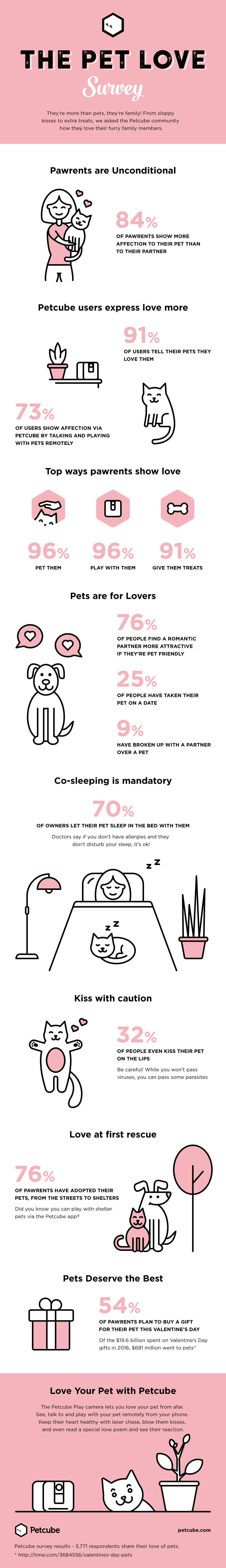 Pet Love Survey Infographic
