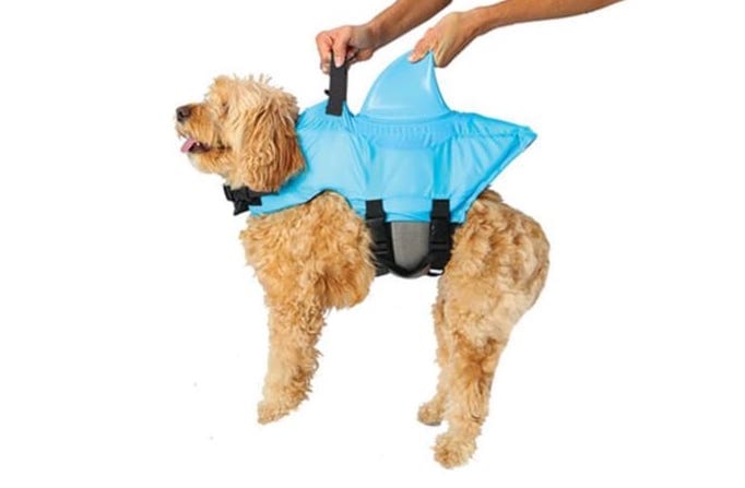Swimways Sea Dog Life Vest With Shark Fin