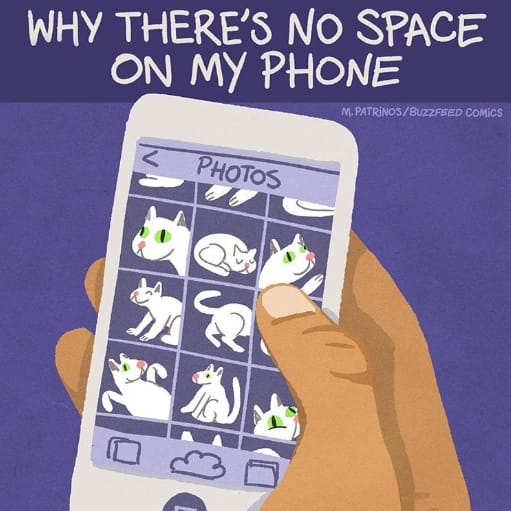 Comic of a phone packed with cat photos