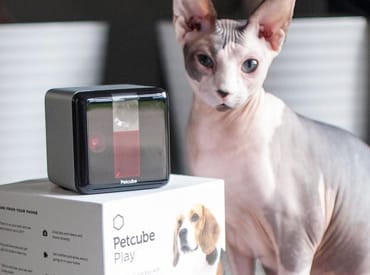Petcube Play is the Best Gadget for Pet Lovers