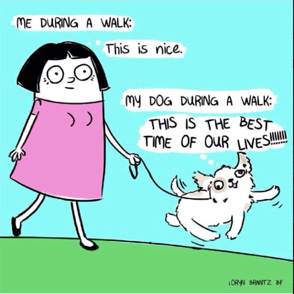 Walking with a dog comics