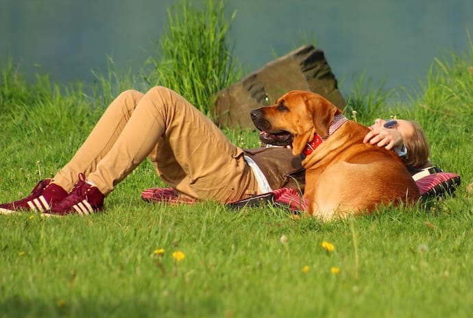 A dog and a girl lying in the grass