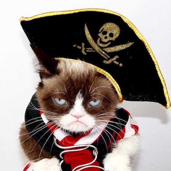 Halloween cat costume Grumpy cat