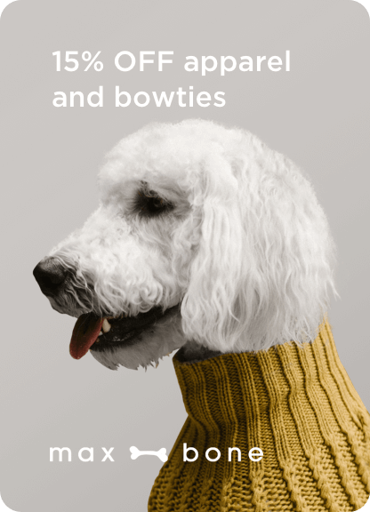 Max Bone dog sweater