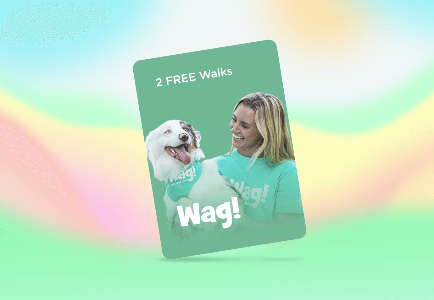 Wag Petcube Care Perk Card