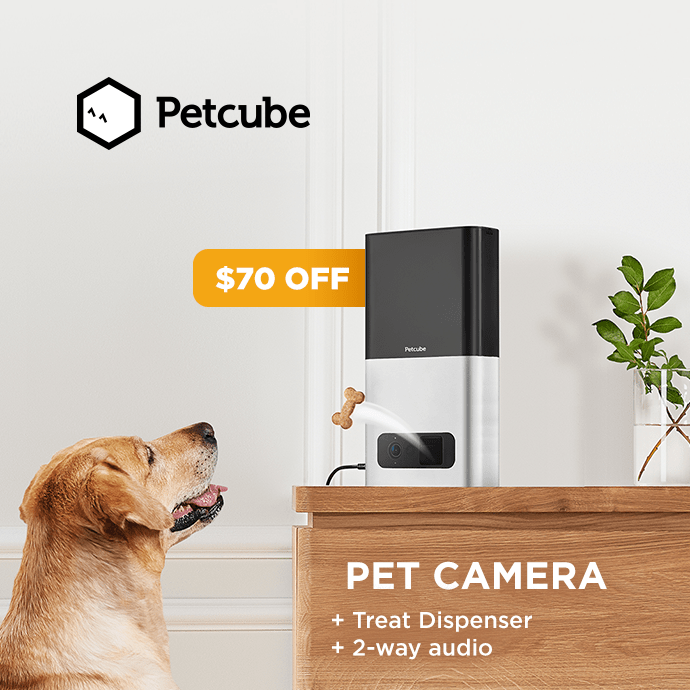 The Petcube Bites pet camera with treat dispenser