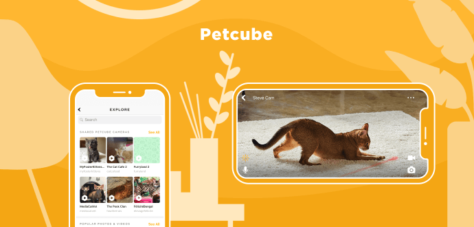 Petcube App pet camera app