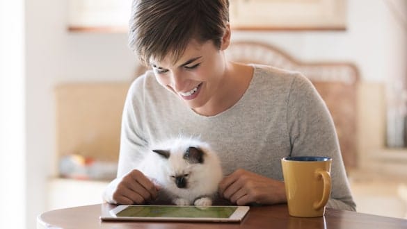 10 Best Game Apps for Cats
