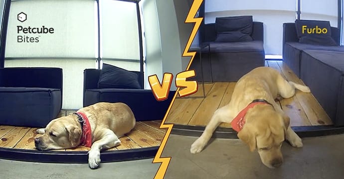 Petcube Bites vs Furbo pet cameras live streaming video quality comparison
