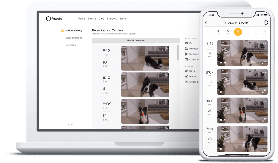 Petcube app new multi-camera account feature