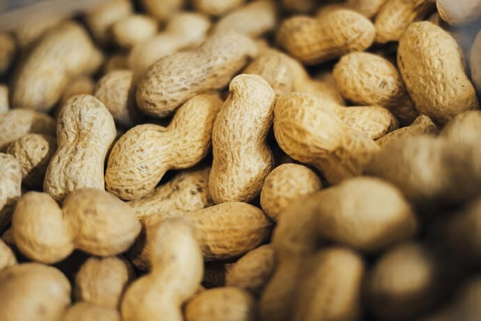 can dogs eat peanuts