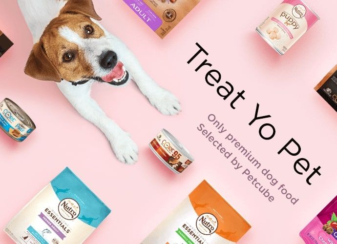 Petcube.com Launches Food & Treats with Care