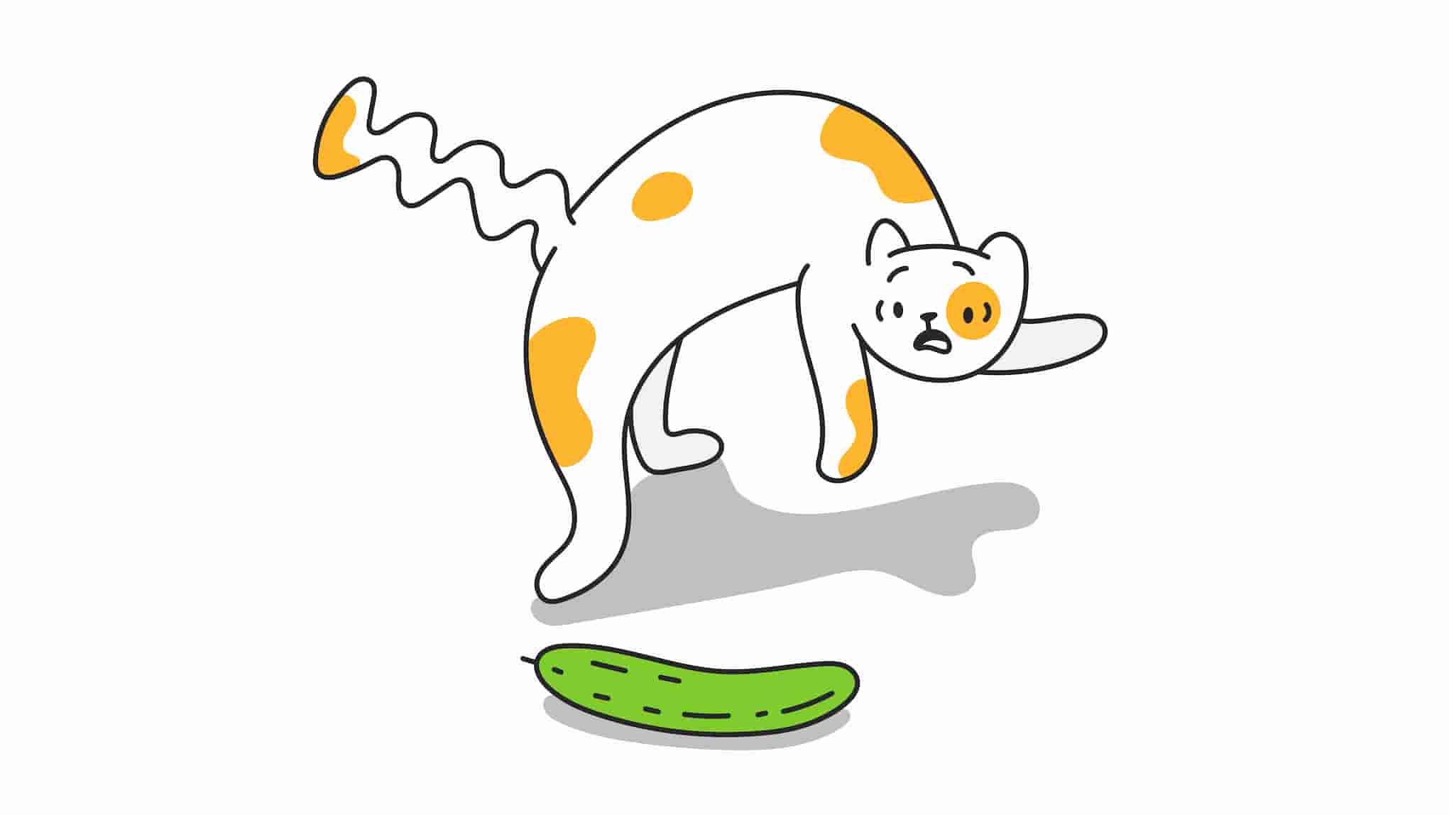 Cats vs Cucumbers: Why Are Cats Scared of Cucumbers?