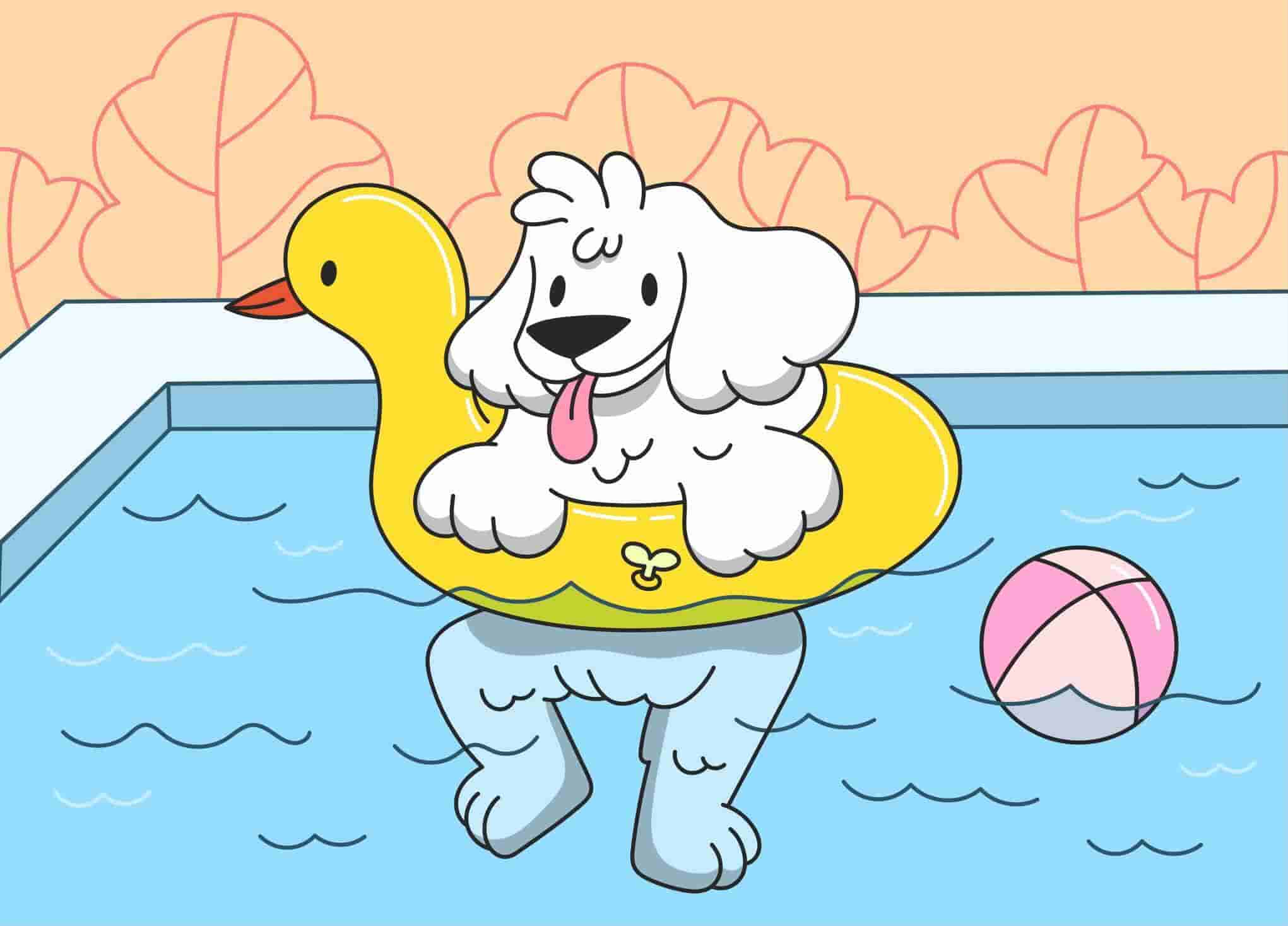 How to Teach a Dog to Swim and Have Fun in Water