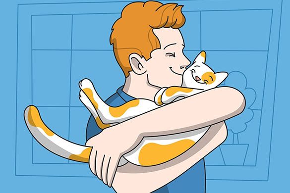 Purrfect Friend: How to Get a Cat to Like You