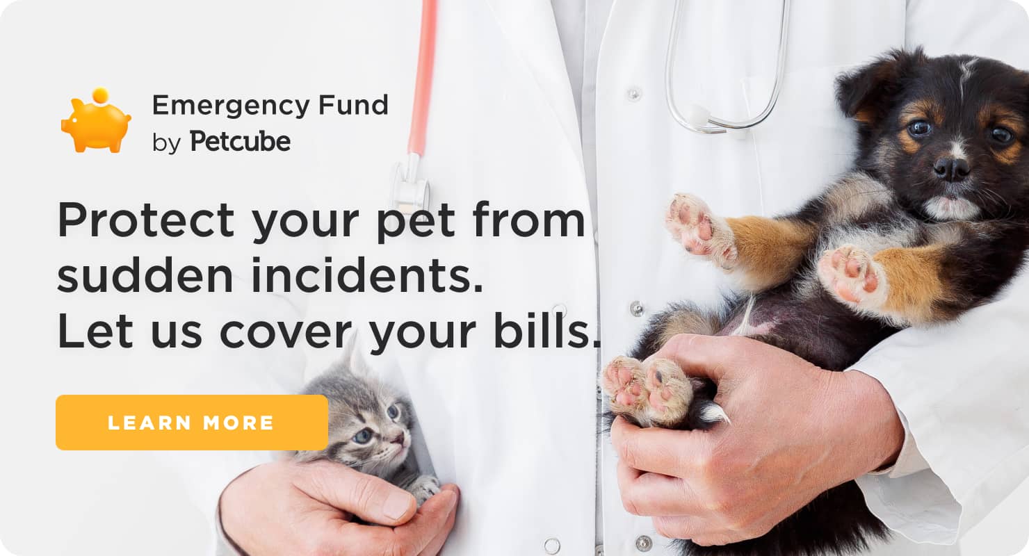 Petcube Emergency Fund