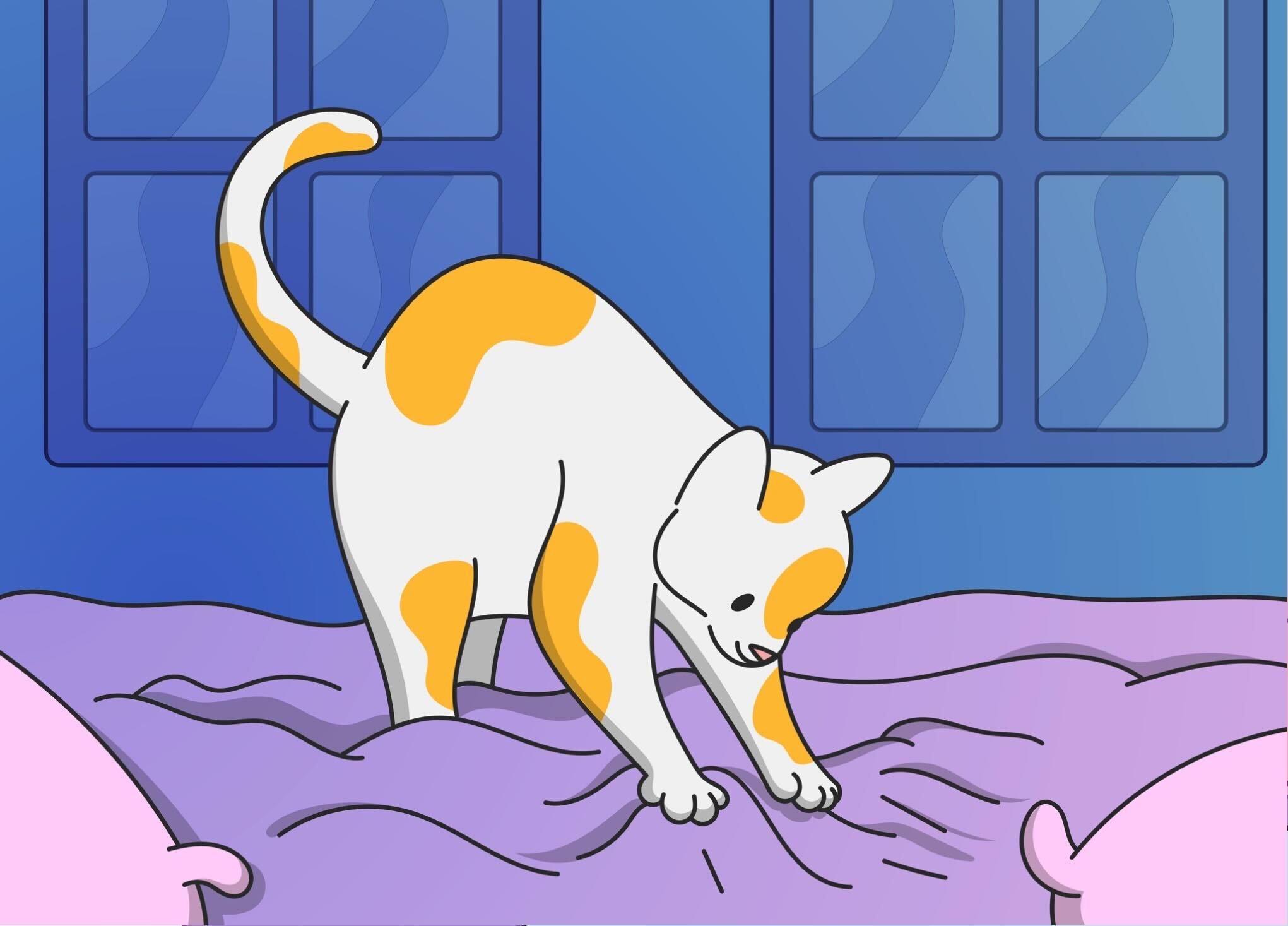 Why Cats Make Biscuits: Kneading Explained