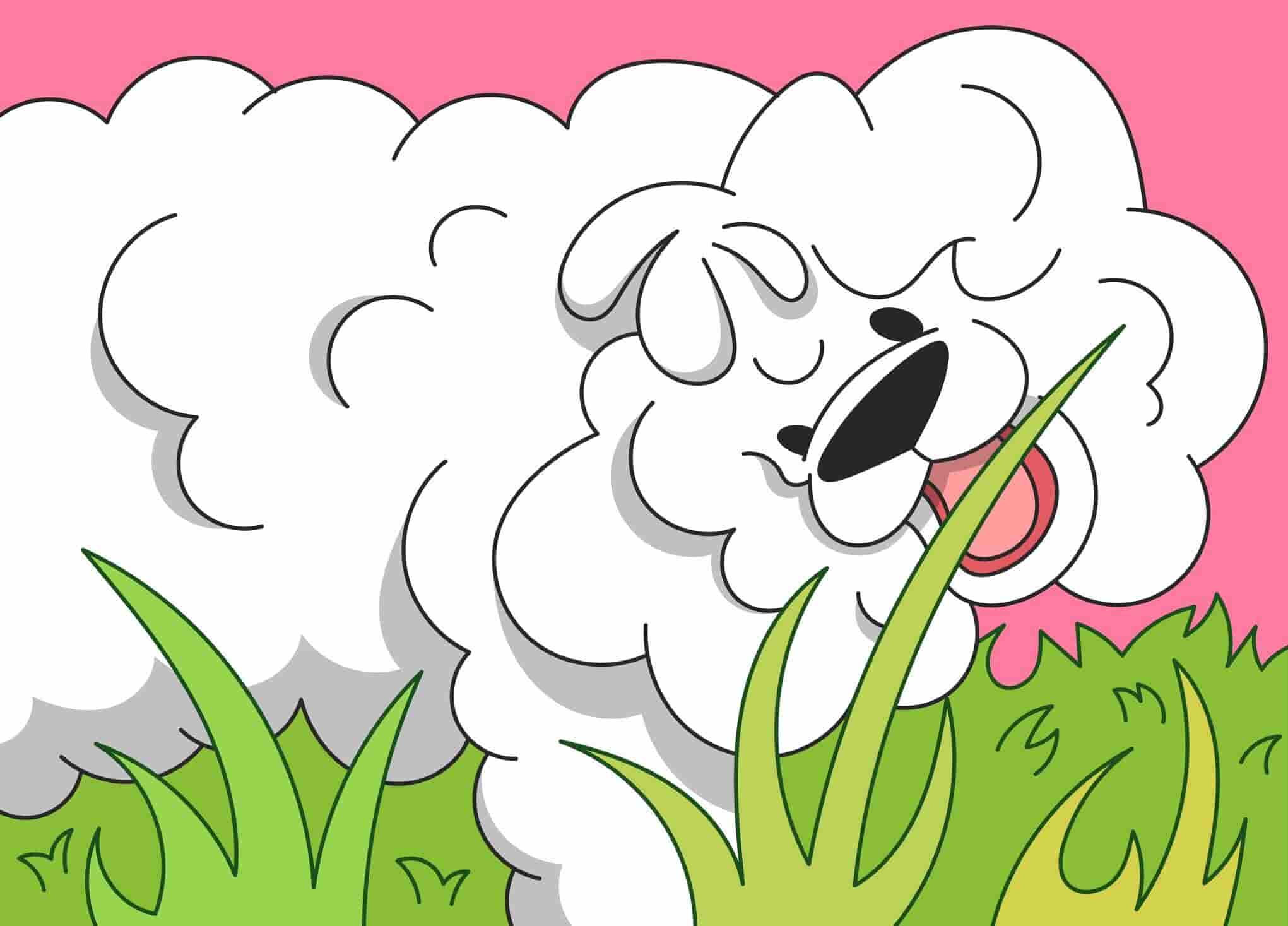 Why Do Dogs Eat Grass? Another Weird Dog Behavior Explained