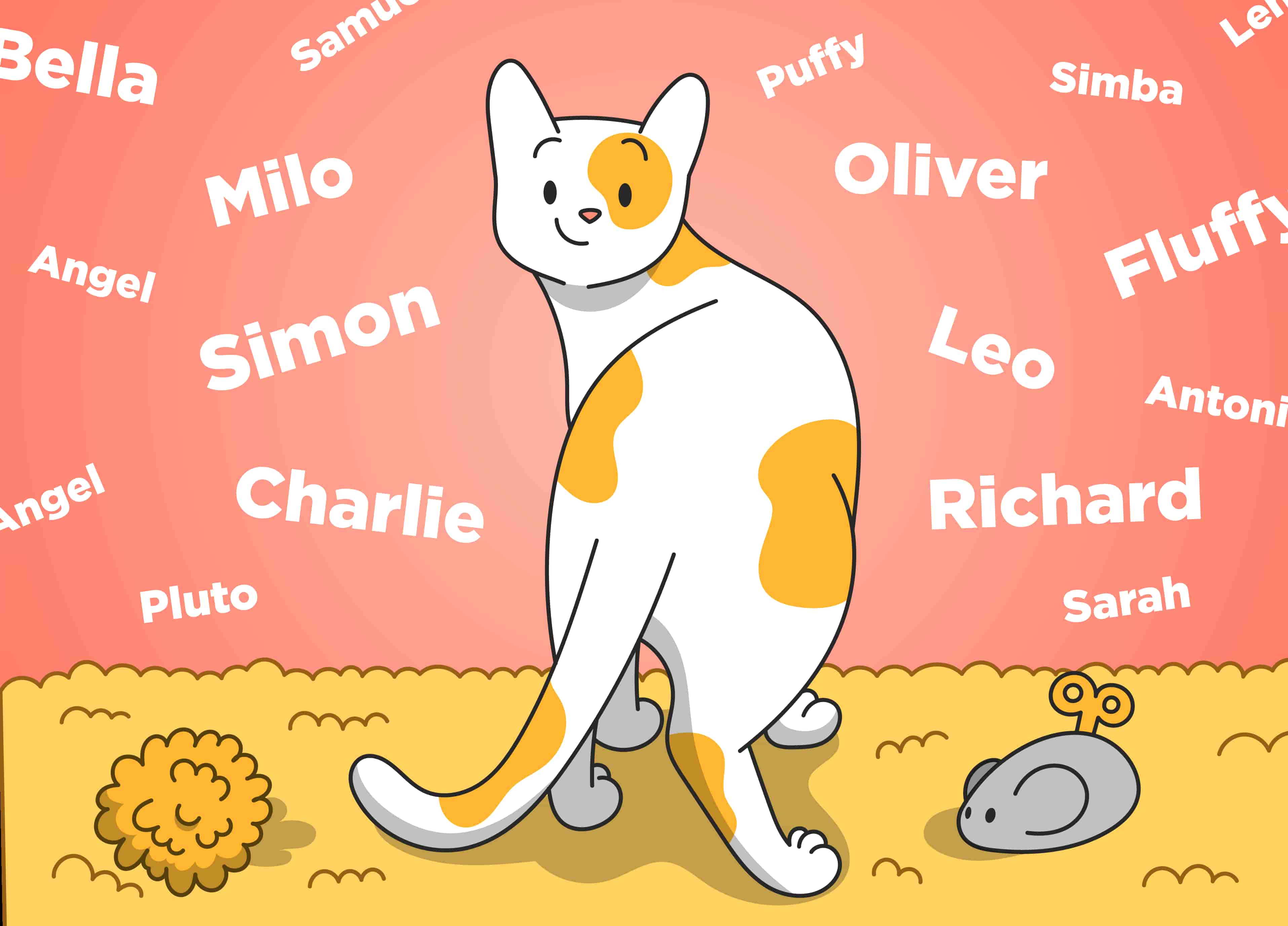 How to Name a Cat